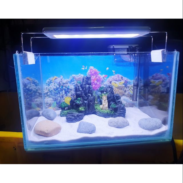 COMBO HỒ CÁ TRANG TRÍ SẴN 1 NÚI 24X15X15CM