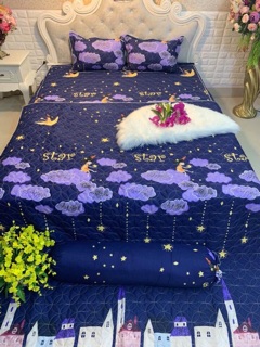 Bộ ga gối chăn hè