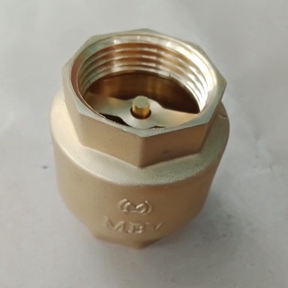 Van 1 chiều lò xo phi 21, 27, 34(đồng thau)