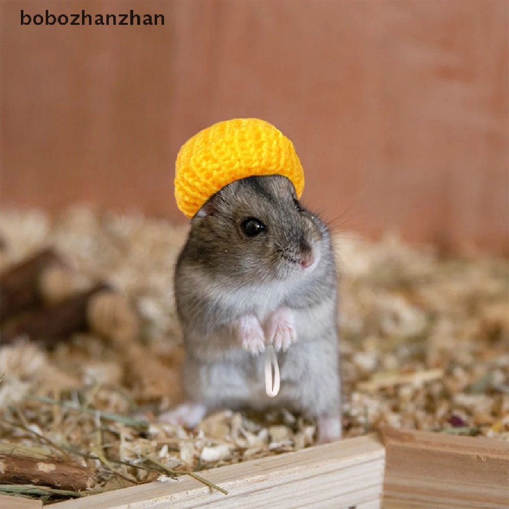Mũ len giữ ấm nhiều màu tùy chọn cho chuột hamster