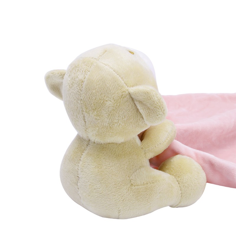 Chăn bông mềm mại hình gấu teddy cho bé