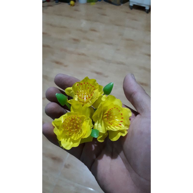 Nụ gắn bông mai đào