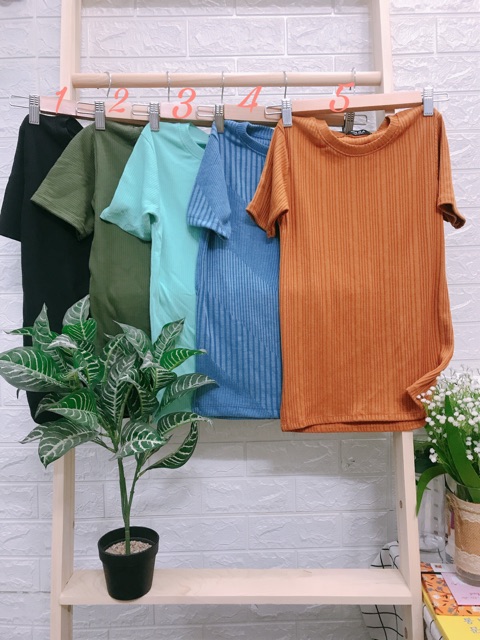 Áo body thun gân kẻ sọc HOT Hè ( hình thật 100% ) | BigBuy360 - bigbuy360.vn