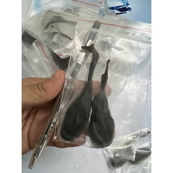 Mật kỳ đà chất lượng