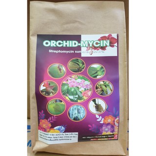 Chống thối nhũn cho lan var Thái