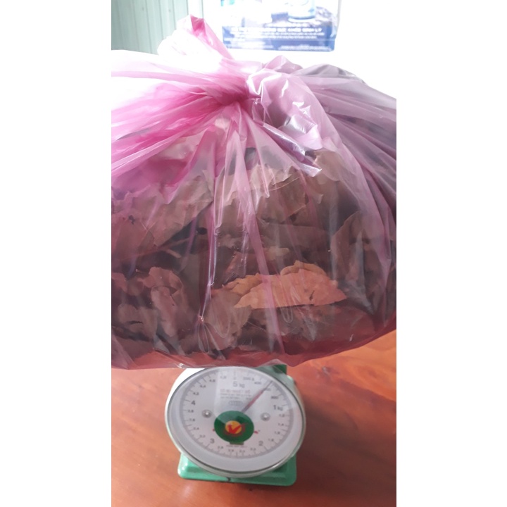 Lá cách phơi khô