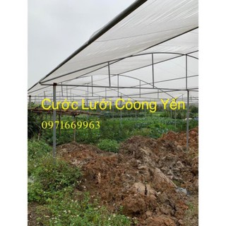 SALE LỚN [Hàng Gia Công Bền] Lưới Cước Leo Giàn Bí Bầu Dưa Mướp Và Trang Trí Rộng 1m5 Dài Tùy Ý NO1 MIỄN PHÍ ĐỔI TRẢ