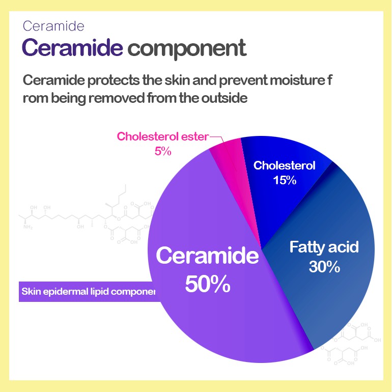 (hàng Mới Về) Son Bóng Holika Holika Good Cera Siêu Ceramide | BigBuy360 - bigbuy360.vn