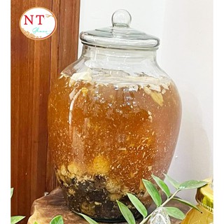 Bình ngâm rượu thủy tinh trơn 15 lít ( Có van hoặc Không van )