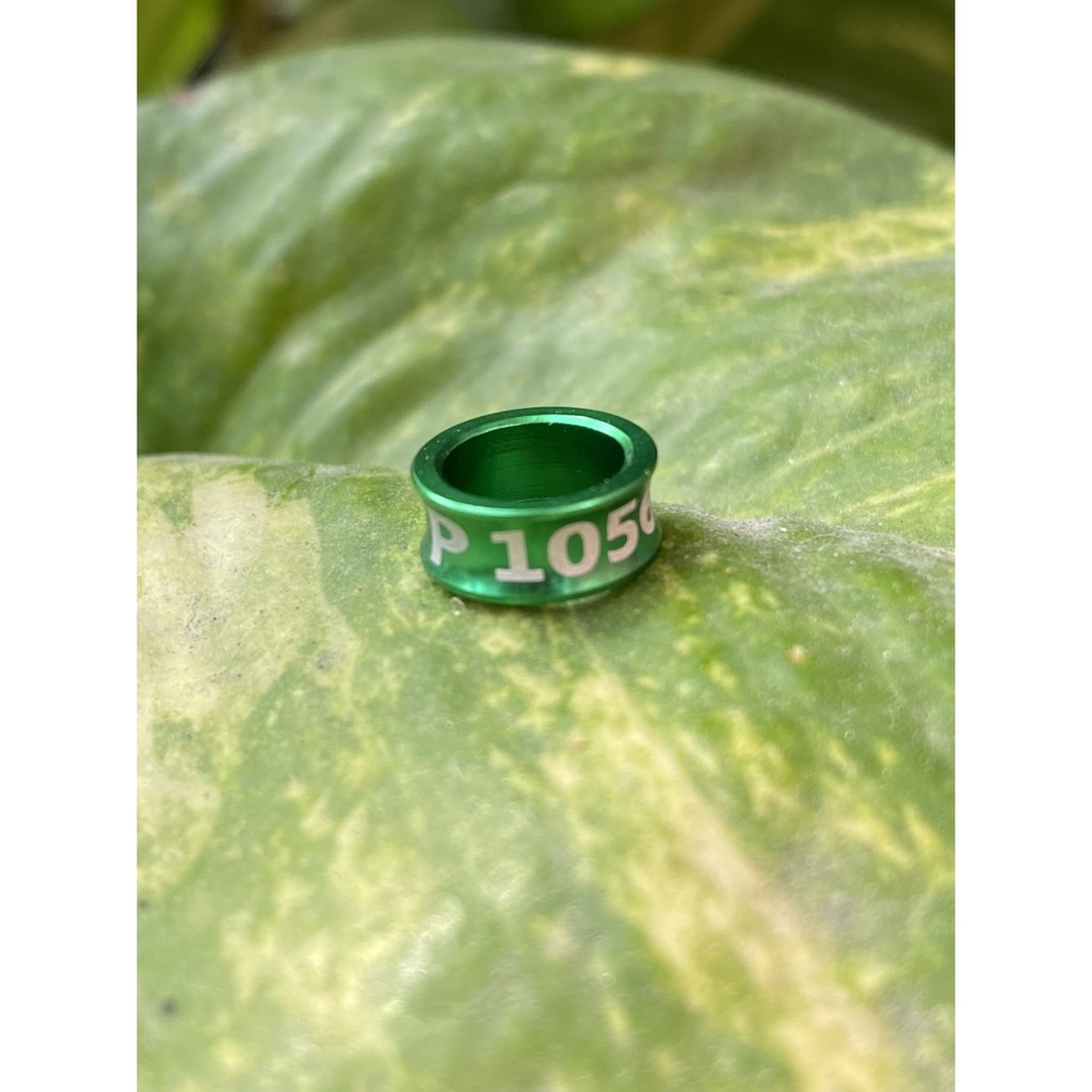 Bộ 10 Vòng Đeo Chân Chim Nhiều Màu Sắc