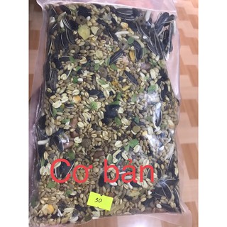Thức ăn hamster 500gr ( Cơ bản/ Bear/Winter White +Ngon )