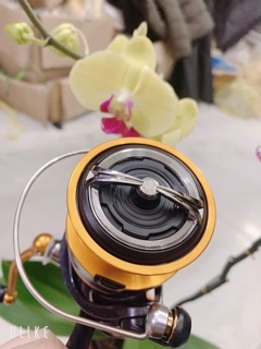 Máy câu cá daiwa  LT cao cấp 5000- 6000