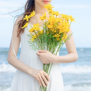 Cành hoa cúc họa mi vải lụa trang trí nhà