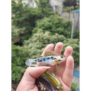 Mồi mềm thòi lòi