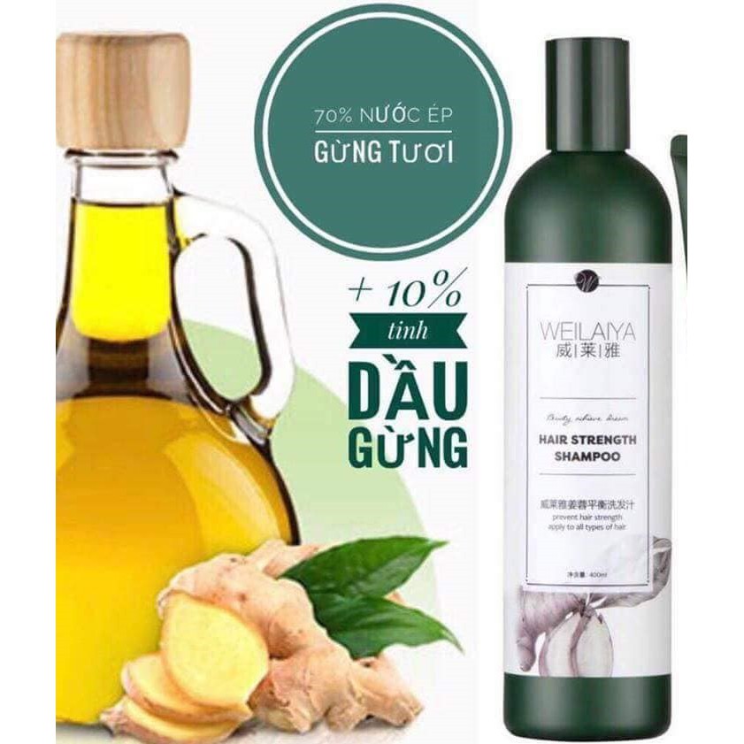 Dầu Gội Weilaiya Chính Hãng Tinh Chất Gừng 400m Hỗ Trợ Mọc Tóc Ngăn Rụng Tóc - Cho Da Đầu Dầu (Sẵn Số Lượng Lớn) | BigBuy360 - bigbuy360.vn