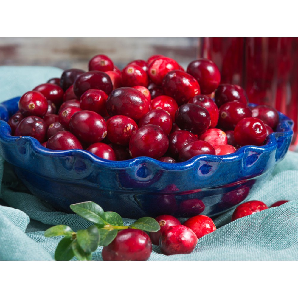 Nam việt quất sây khô Only Nature 450g/túi (Cranberries)