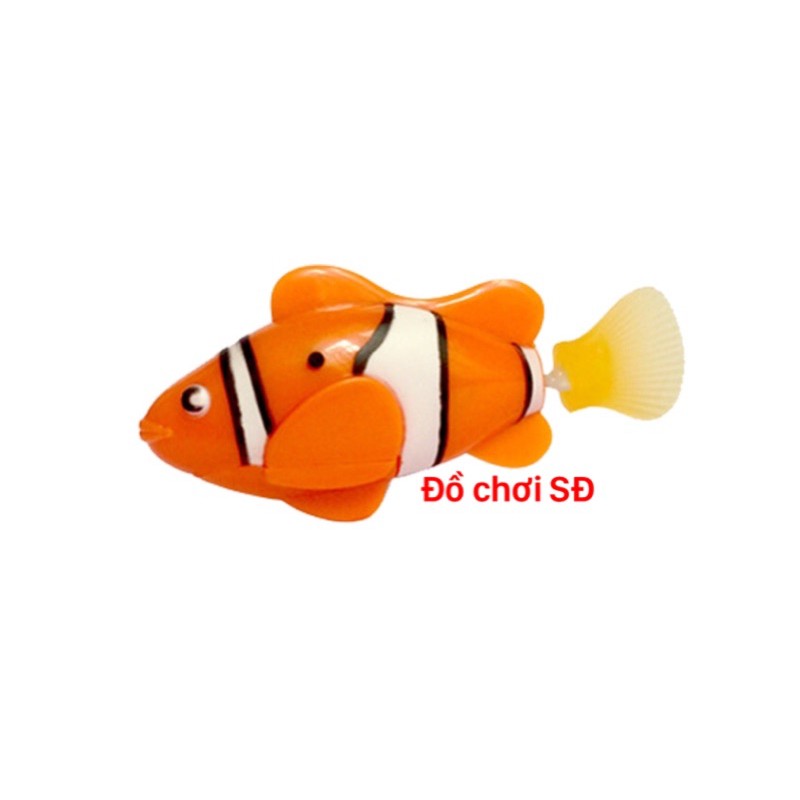 Cá bơi nước - 2 con ngẫu nhiên