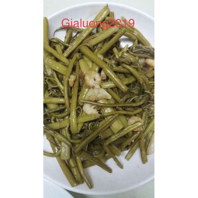 Rau móp nhà trồng