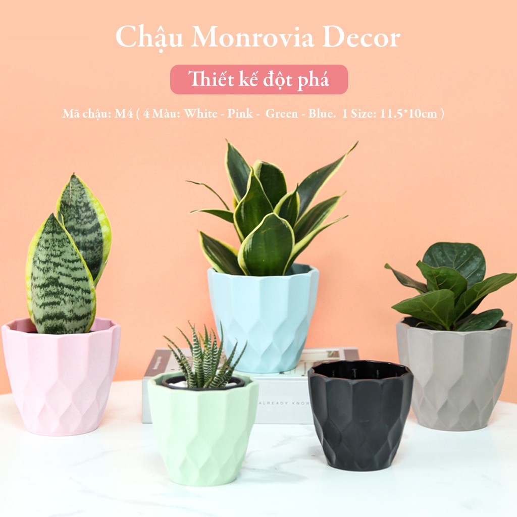 Chậu trồng cây mini MONROVIA cho sen đá, cây cảnh, hoa nhí, xương rồng, bonsai để bàn, ban công
