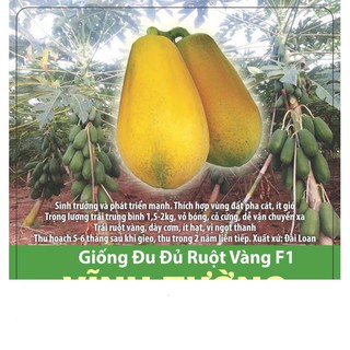 Hạt giống đu đủ ruột vàng f1 vĩnh tường gói 5 hạt