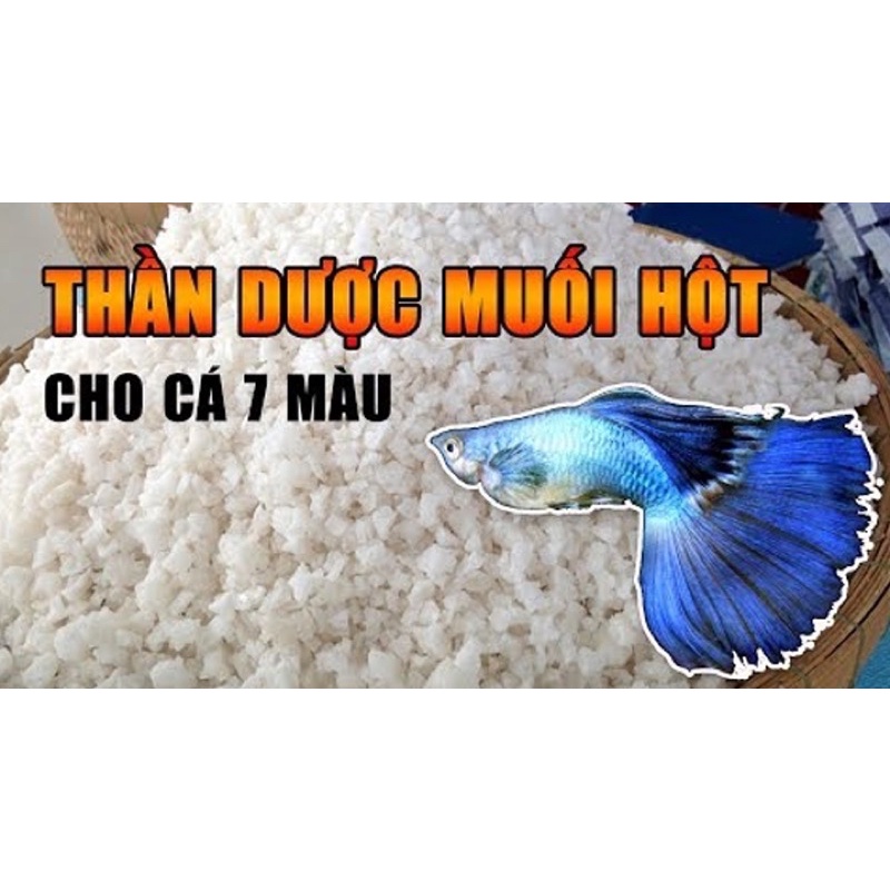 Muối Hột Hạt To 1kg - Muối Biển Tinh Khiết cho Hồ Cá Tôm Tép Thủy Sinh