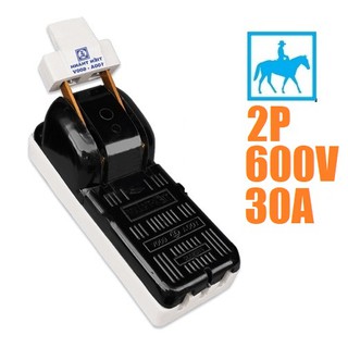 Cầu Dao Điện Cao Cấp 2 Pha 2P 30A 600V