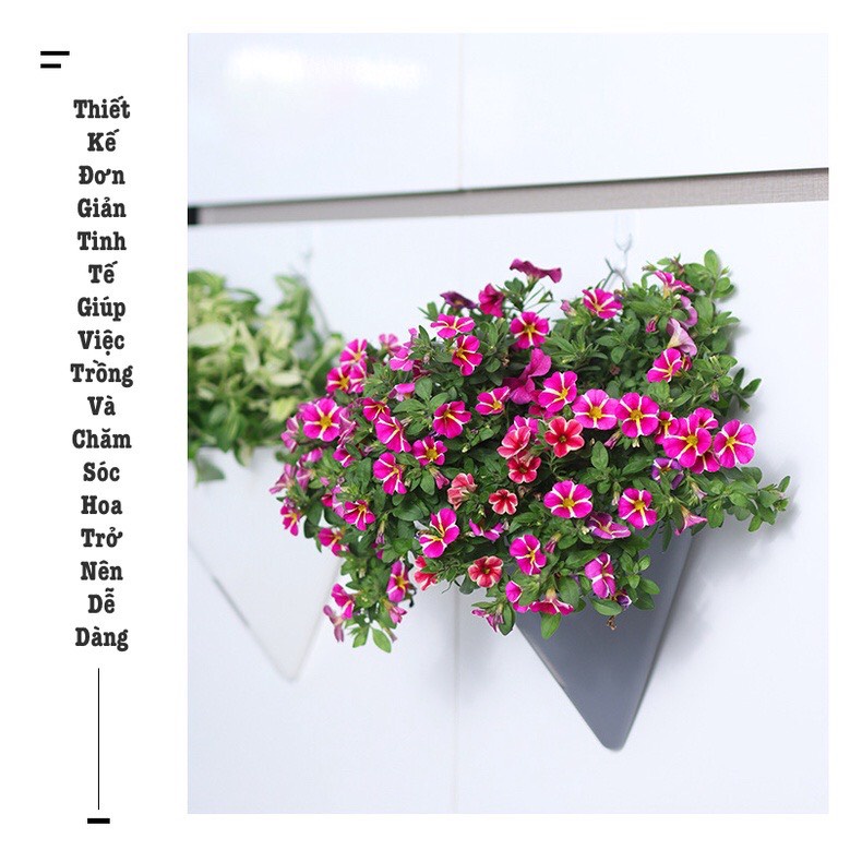 Chậu cây treo tường hình kim tự tháp Oliz-K104. Chậu trồng cây thông minh tự tưới nước