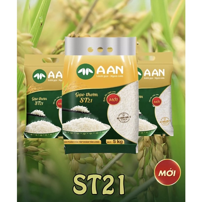 Gạo ST21 đặc sản