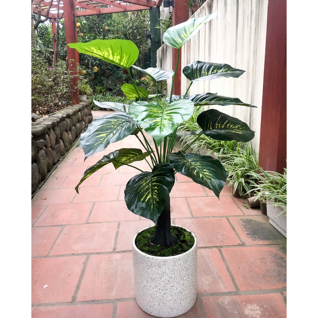 Cây trầu bà lá xanh giả đẹp- Cây giả