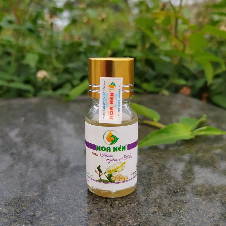 TINH DẦU TRÀM chống gió, cảm ho, thơm phòng, đuổi muỗi, côn trùng cắn Hoa Nén