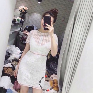 Đầm ren lưới body