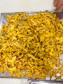 Bột bí đỏ sấy lạnh
