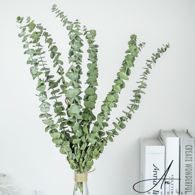 Cành lá khuynh diệp/lá bạc khô Eucalyptus trang trí để bàn, kệ sách, Decor vintage