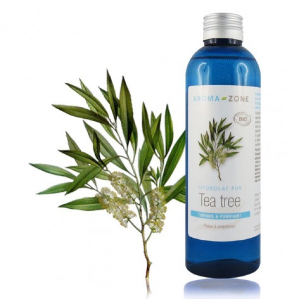 Tea tree hydrosol - Nước tinh chất toner tràm trà