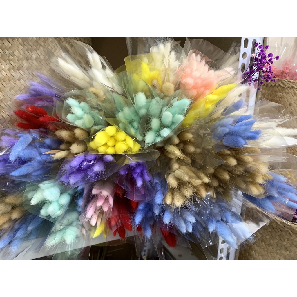 Bó 50 cành Hoa khô CỎ ĐUÔI THỎ nhập khẩu decor, trang trí cửa hàng, nội thất vintages