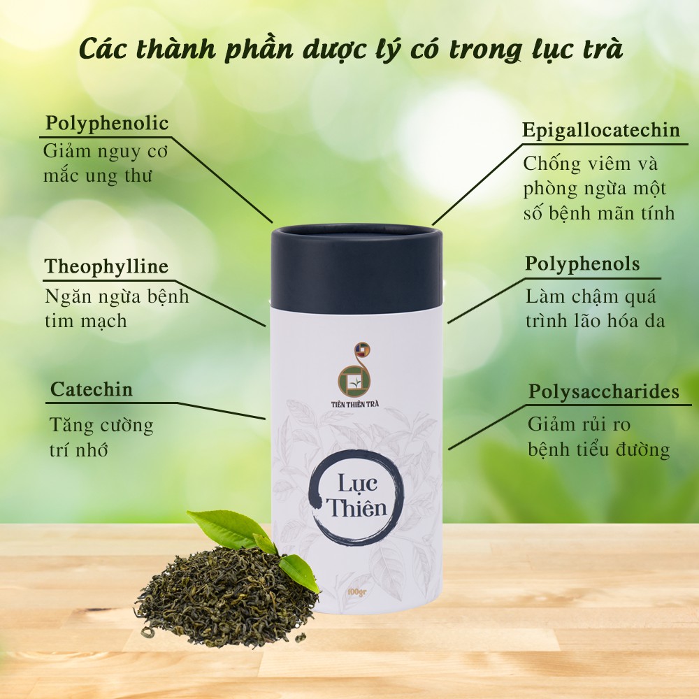 Lục Thiên Trà - Lục trà shan tuyết cổ thụ thượng hạng