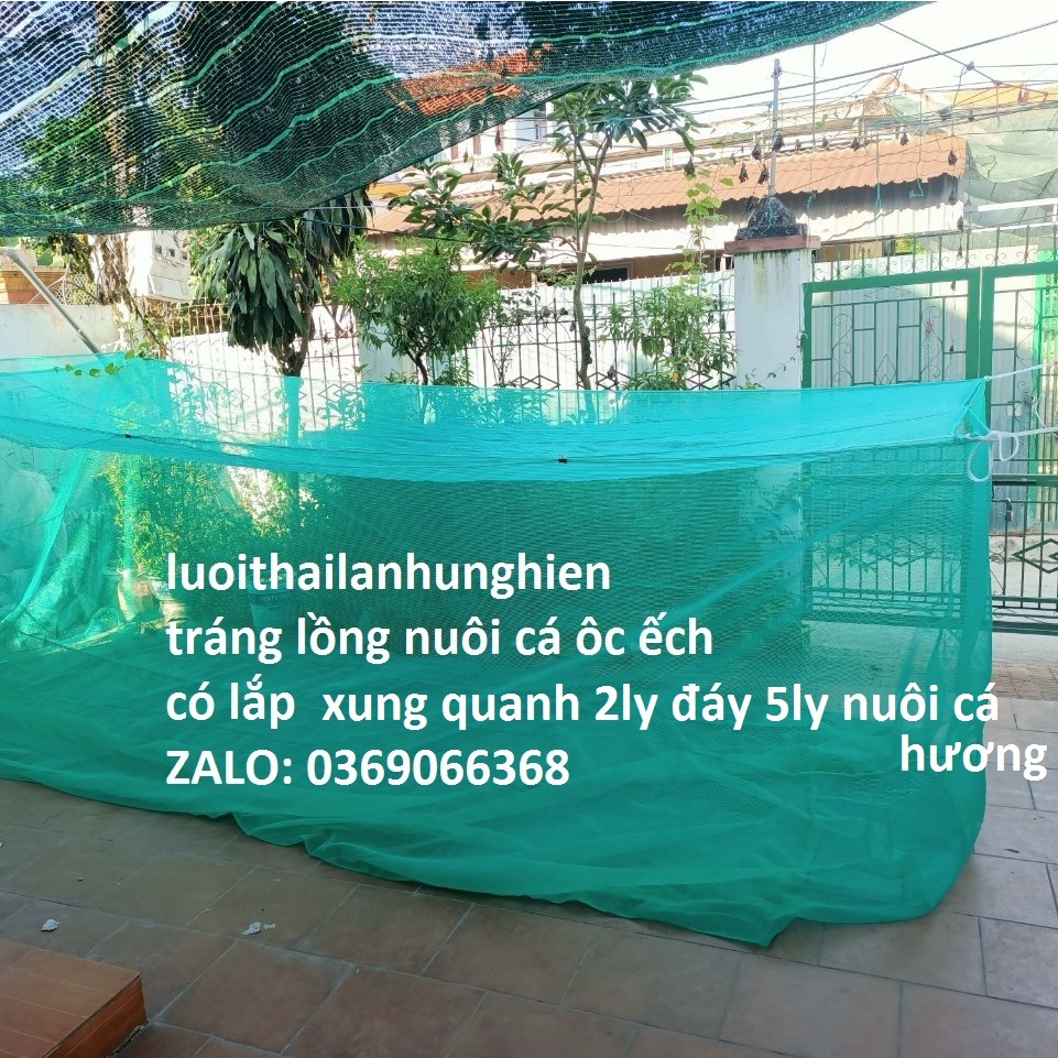 Tráng Nuôi Cá Xung Quanh 2ly đáy 5ly Nuôi Cá Từ Nhỏ Tới To, Lưới Thái Lan Hương cá tra, cá chuôi hoa