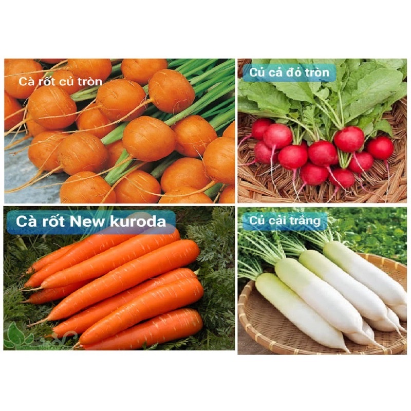Hạt giống rau hoa củ quả các loại đa dạng hàng chuẩn tỉ lệ nảy mầm rất cao