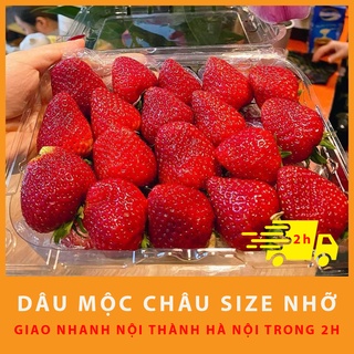 Dâu Tây Mộc Châu size nhỡ