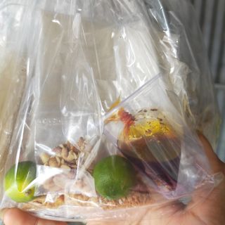 Banh trang sate toi . đặc sản Tây Ninh