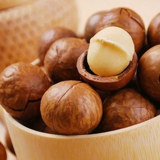 500gr hạt macca đặc sản đắk lắk