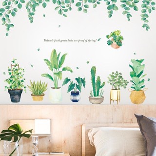 SIÊU_RẺ DECAL DÁN TƯỜNG PHONG CÁCH HÀN QUỐC NHIỆT ĐỚI dây lá xanh và chậu cây