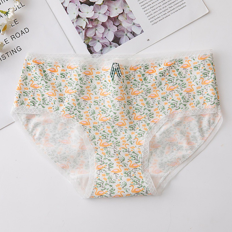 Quần Lót Cotton Phối Ren Đính Nơ Xinh Xắn