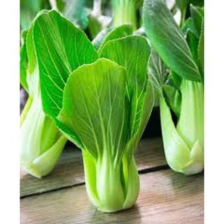 Hạt giống cải thìa 20gr bẹ lớn, ngọt