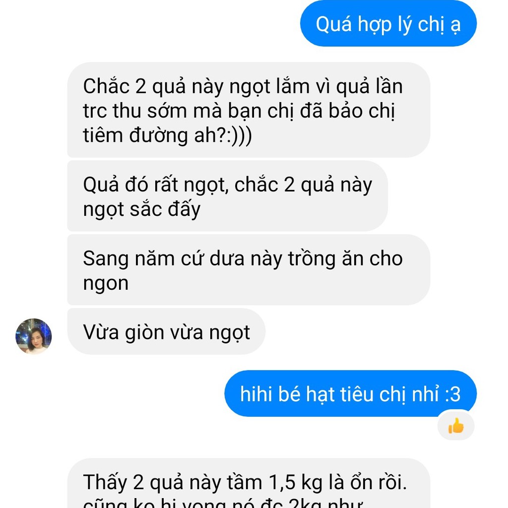 10 Hạt Giống Dưa Lưới TL3 F1