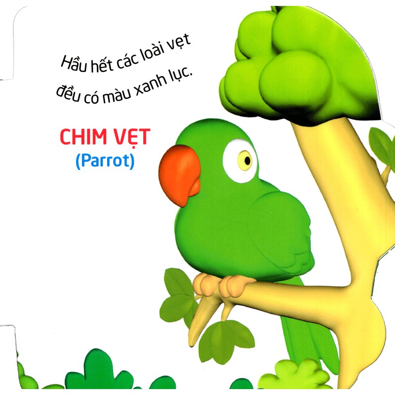 Sách: Thế Giới Trong Mắt Em - Chim
