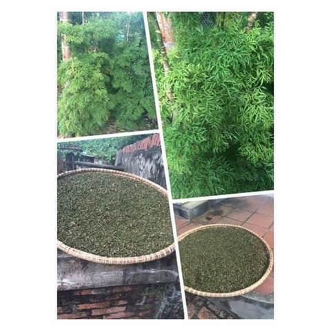 Lá đinh lăng khô , lá đinh lăng nếp phơi khô thơm nức, rối loạn tiền đình, ho, mất ngủ, hàng thơm mới