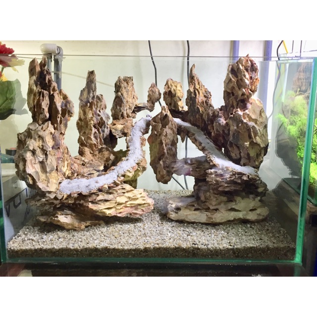 ☘️Bố cục đá chơi bể cá thủy sinh☘️