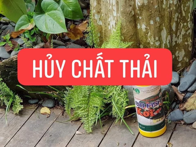 Men Vi Sinh Cá Cảnh  Bio fish Koi