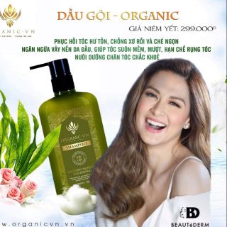 Dầu gội đầu organic việt nam